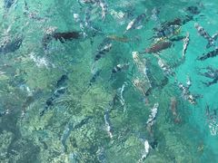 -蓝湾海滩