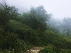 -浙西天池景区