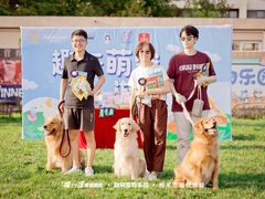 -趣玩宠物乐园寄养训犬训狗游泳池
