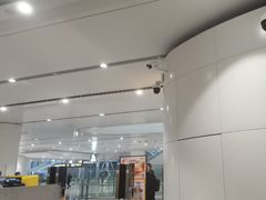 -麦当劳(北京大兴机场二层国内到达(安检外)店)