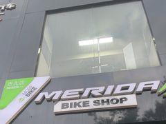 -道路口单车爱瓦士dahon大行