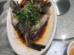 -强记海鲜·大排档(蛇口新街店)
