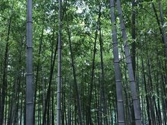 -陶祖圣境风景区