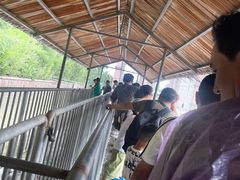 -泰安地下龙宫景区