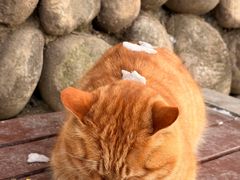 -终南山南五台景区