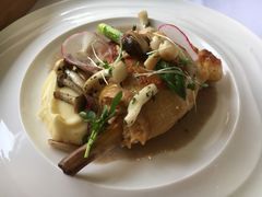 -蝶舍·MAISON PAPILLON