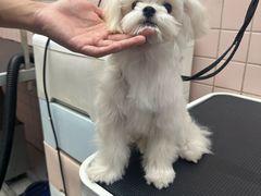 -FAELING PETS美天灵宠物(富力广场店)