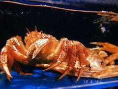 -蟹田居·活蟹料理(东城店)