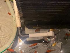 -江南足纪·影院足道·轻奢SPA(笋岗HALO广场店)