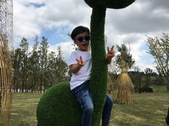 -云漫湖生态度假公园