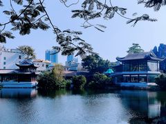 -荔湾湖公园