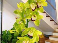 -森野花艺培训·企业团建活动沙龙