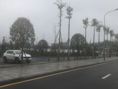 -枫香湖儿童公园