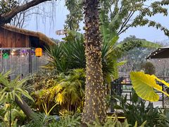 -茅草房·河畔园林火锅