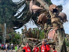 -奥兰多迪士尼动物王国乐园