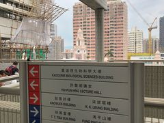 -香港大学