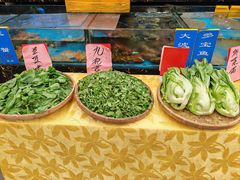 -顺峰山庄(金峰店)