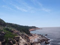 -广东惠东海龟国家级自然保护区