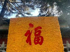 -潭柘寺景区