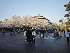 -武汉大学-樱园
