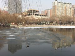 -文瀛公园