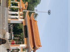 -深圳仙湖植物园