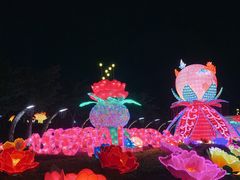 -映月湖公园