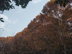 -河南省黄河迎宾馆