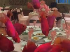 -东林海岸大酒店-餐饮部(黄海路店)