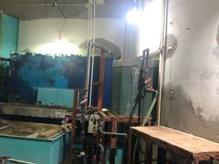 -苏州海洋馆