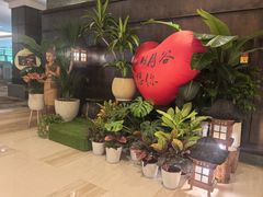 -厦门日月谷温泉渡假村