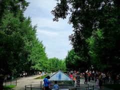 -玲珑塔公园