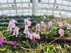 -北京植物园-展览温室