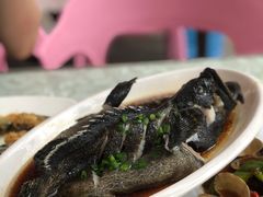 清蒸老虎石斑鱼-范饭椰林川湘味海鲜·椰子鸡(三亚湾椰梦长廊店)