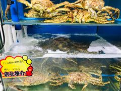 阿拉斯加长脚蟹-蚝专家(北滘店)
