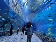 -华夏文旅海洋公园