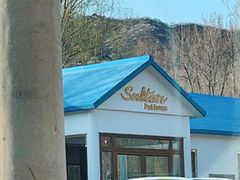 -Sultan pakistan苏单巴基斯坦
