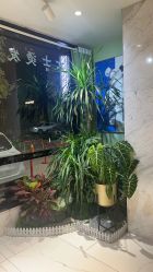 -木北护肤造型