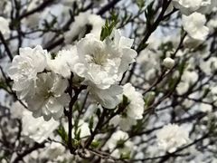 -洨河生态公园