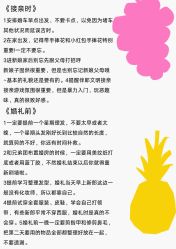 -Limerence 司仪·四大婚礼工作室