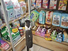 -艾贝尔宠物医院 ·中兽医·宠保定点(北门桥店)