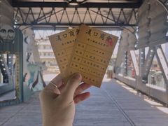 -武汉知音号
