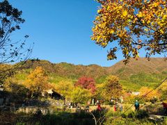 -塔川景区