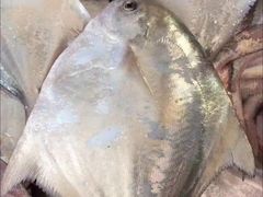 -富临港·蒸汽海鲜·手抓海鲜·炒菜(栈桥店)