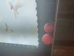 -徽三说·土徽菜·中国徽菜连锁品牌(一中店)