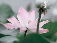 -陶然亭公园