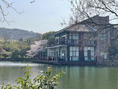 -白马涧龙池景区