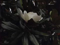 -明日世界电玩城(之心城店)