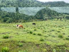 -普达措国家公园
