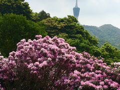 -梧桐山风景名胜区